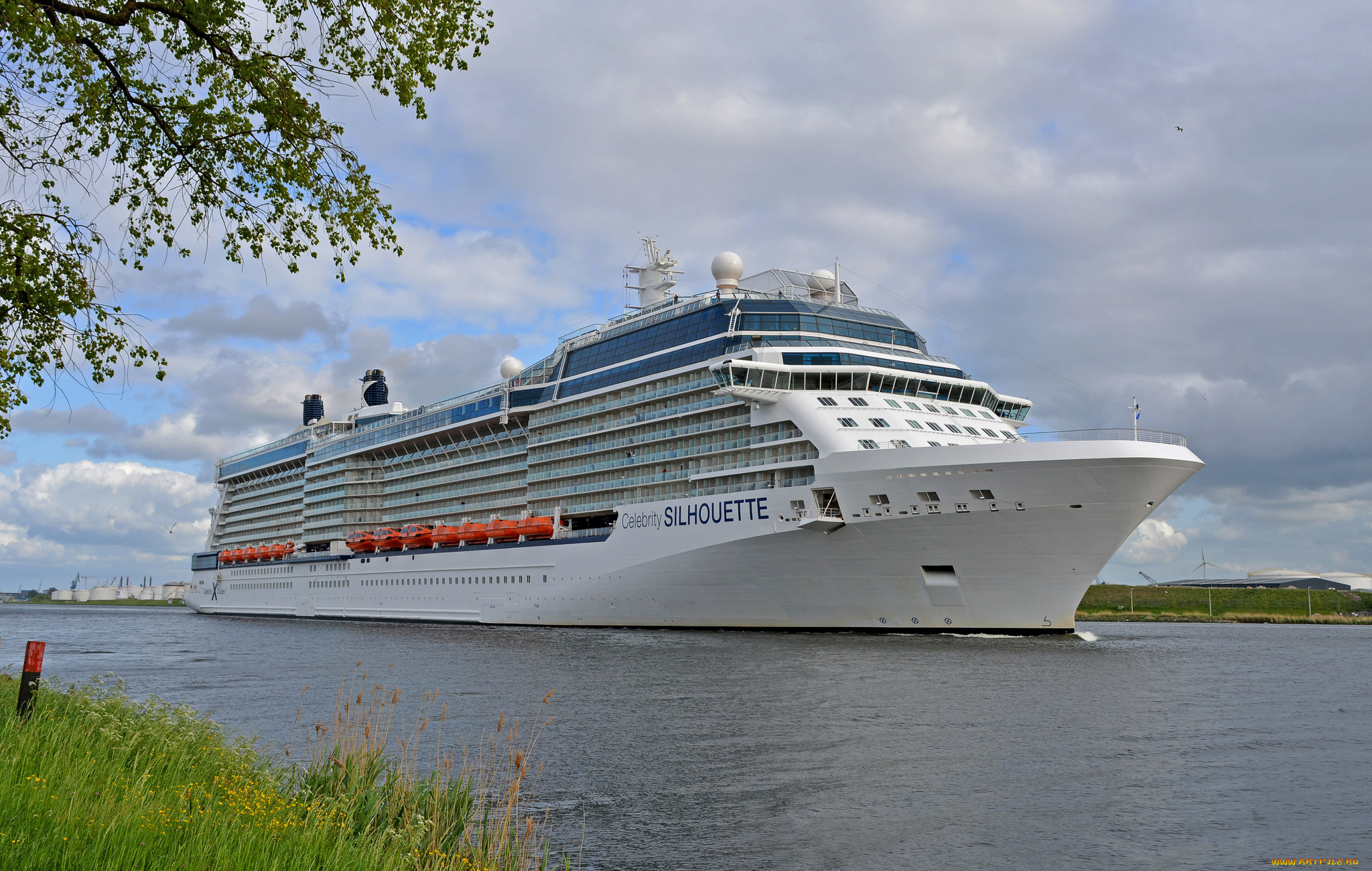 celebrity silhouette, , , , 